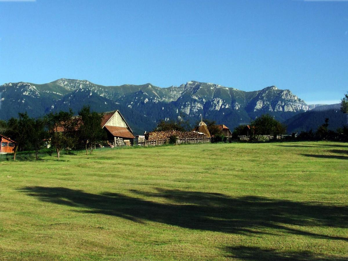 Pensiunea Casa Ady Bran (Brasov) Exterior foto