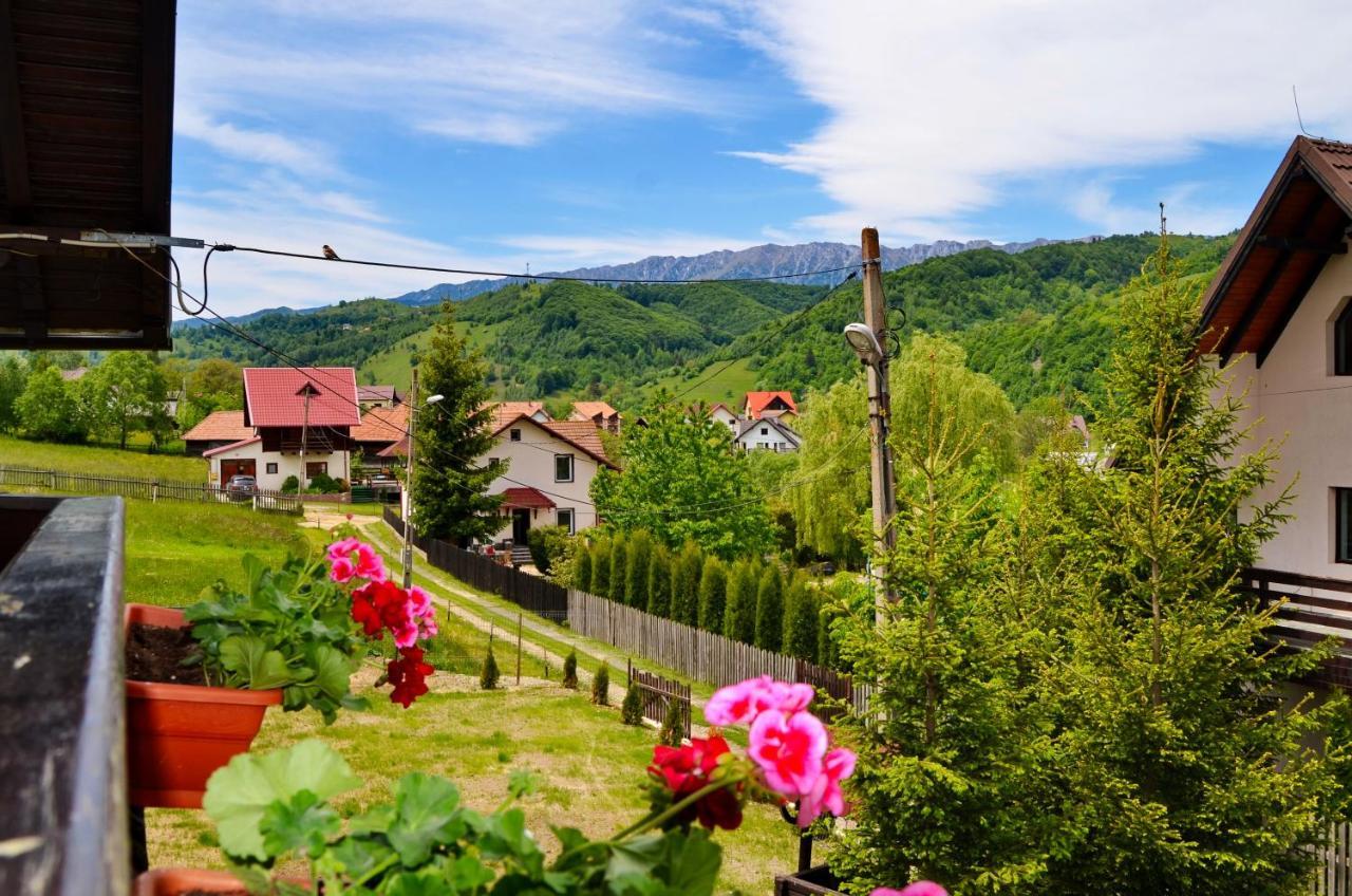 Pensiunea Casa Ady Bran (Brasov) Exterior foto